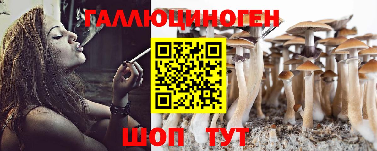 Лесосибирск  Галлюциногенные грибы MAGIC MUSHROOMS  Вход с VPN 