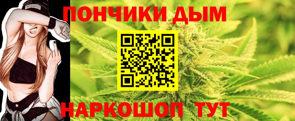 Бошки Шишки план Лесосибирск